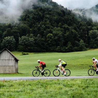 Dossard : Étape du Tour de France - Ventoux - 2026