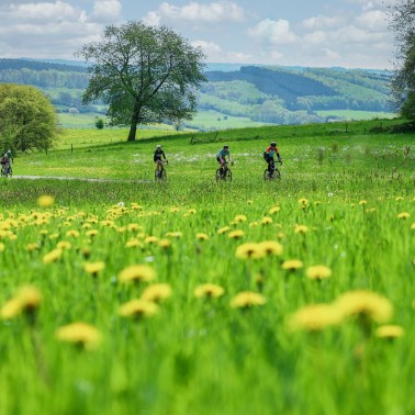 Dossard : Liège-Bastogne-Liège Challenge - 2026