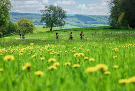 Dossard + Hôtel - Liège-Bastogne-Liège Challenge 2026